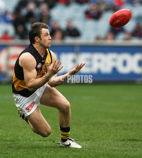AFL 2008 Rd 22 - Melbourne v Richmond - 159101