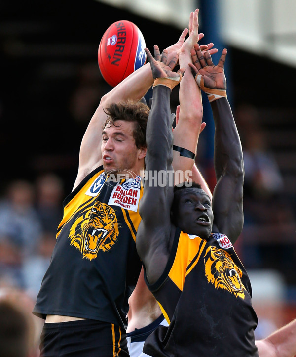 VFL 2012 2nd Preliminary Final - Werribee Tigers v Geelong - 270205