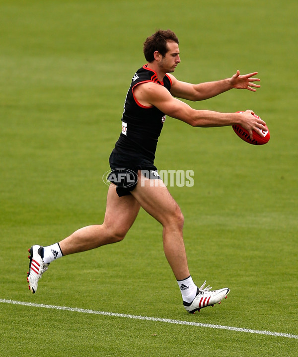 AFL 2013 Training - Essendon 181213 - 310287
