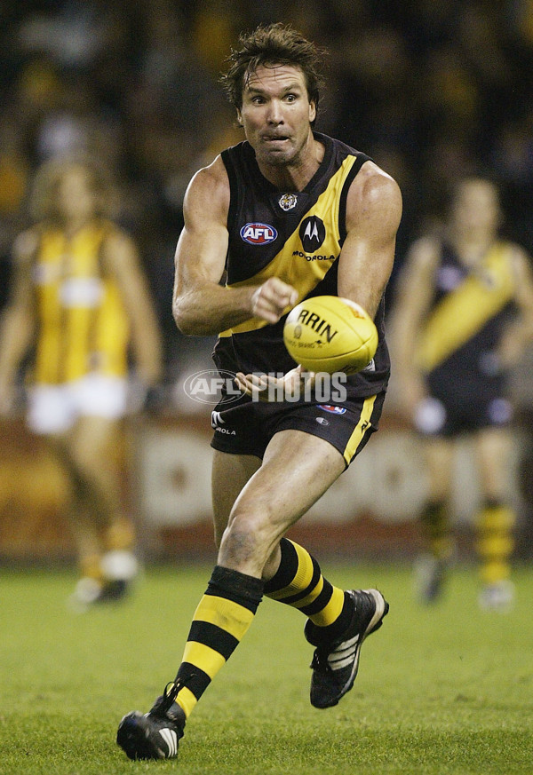 AFL 2004 Rd 6 - Richmond v Hawthorn - 114250