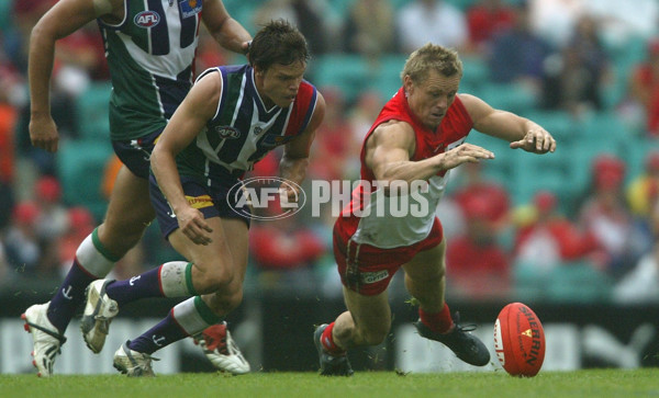 AFL 2004 Rd 2 - Sydney Swans v Fremantle - 115865