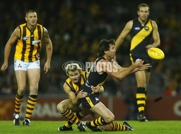AFL 2004 Rd 6 - Richmond v Hawthorn - 171893