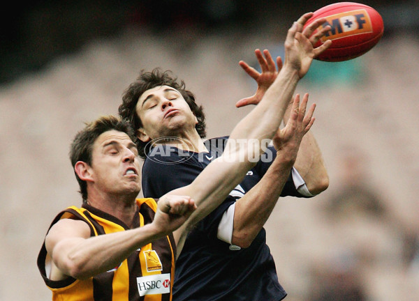 AFL 2005 Rd 17 - Hawthorn v Carlton - 176080