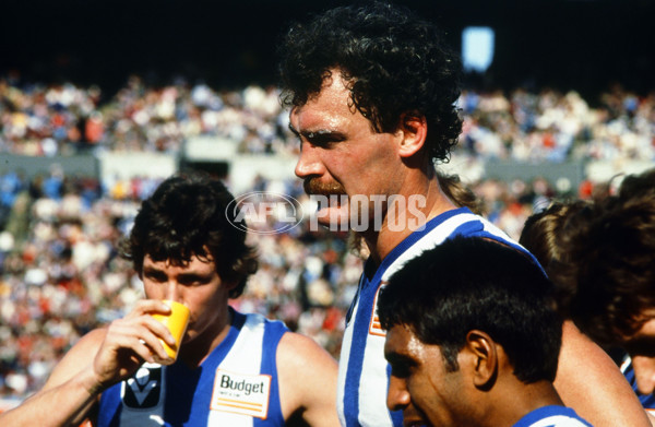 Historical AFL - North Melbourne - 21205