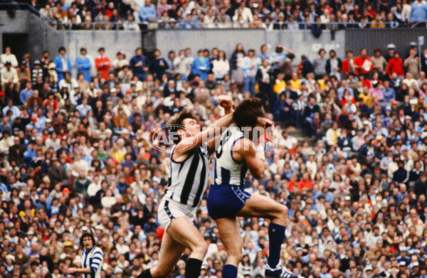 Historical AFL - North Melbourne - 21215