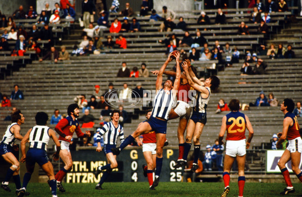 Historical AFL - North Melbourne - 21221