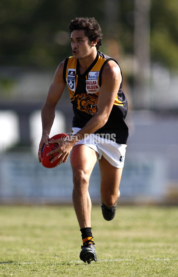 VFL 2011 Rd 03 - Collingwood v Werribee Tigers - 227632