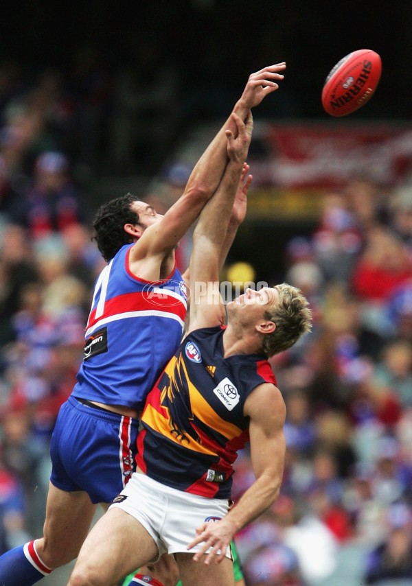 AFL 2006 Rd 20 - Western Bulldogs v Adelaide Crows - 31823