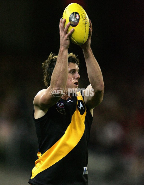 AFL 2006 Rd 6 - Essendon v Richmond - 41080