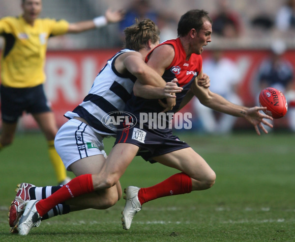 AFL Round 3 - Melbourne v Geelong - 4653
