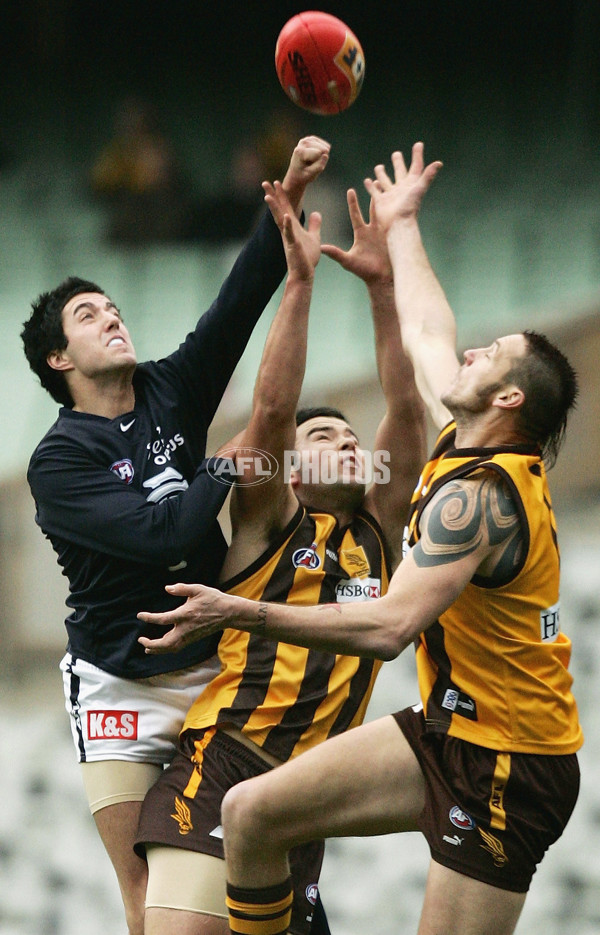 AFL 2005 Rd 17 - Hawthorn v Carlton - 49793