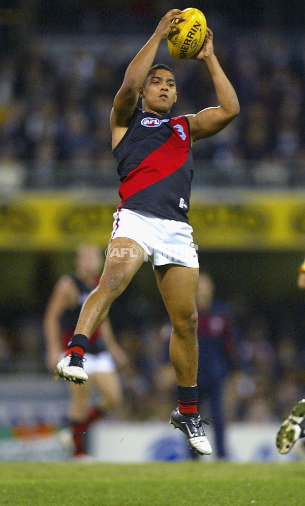 AFL 2005 Rd 17 - Brisbane Lions v Essendon - 51509