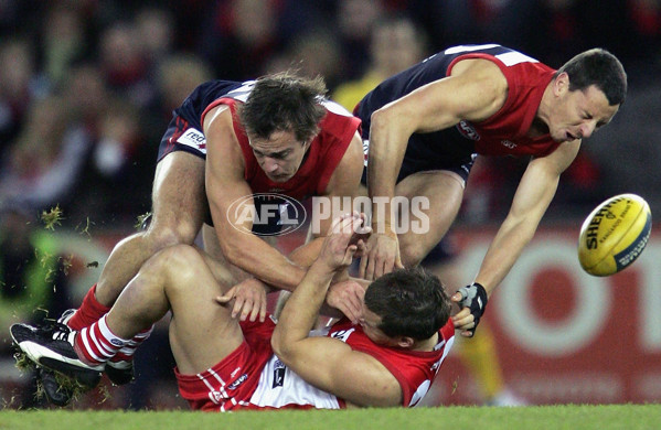 AFL 2005 Rd 16 - Melbourne v Sydney Swans - 56511
