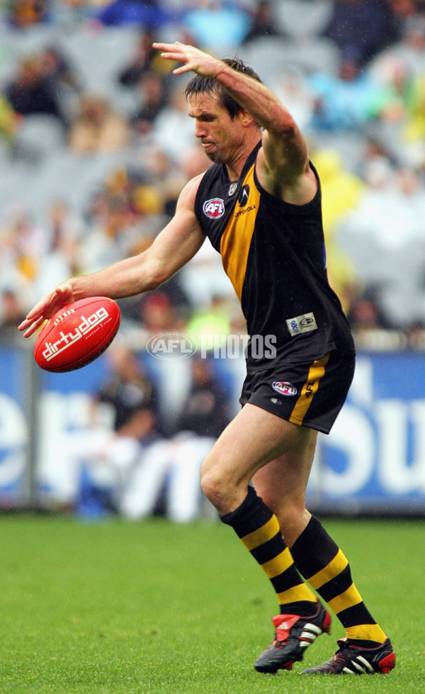 AFL 2005 Rd 15 - Richmond v Essendon - 58125