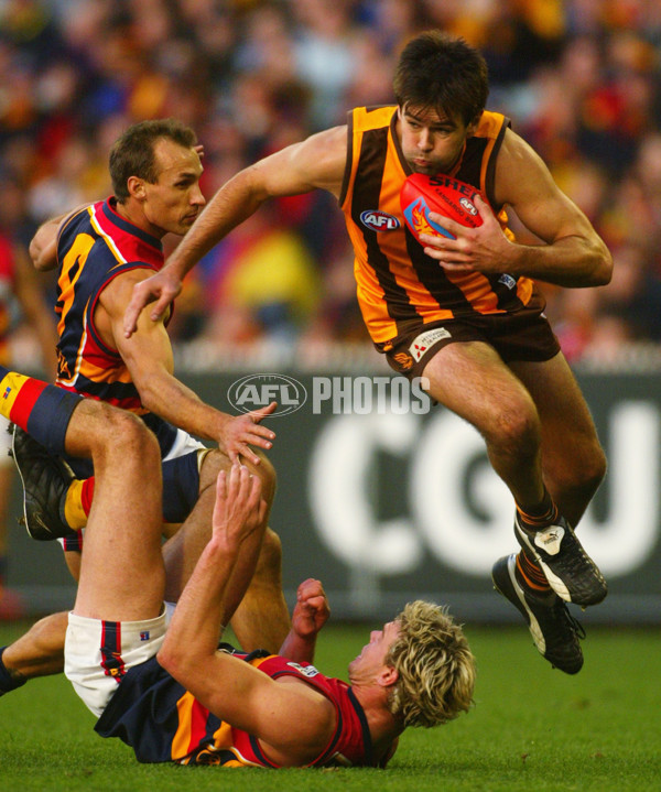AFL 2003 Rd 11 - Hawthorn v Adelaide - 125893