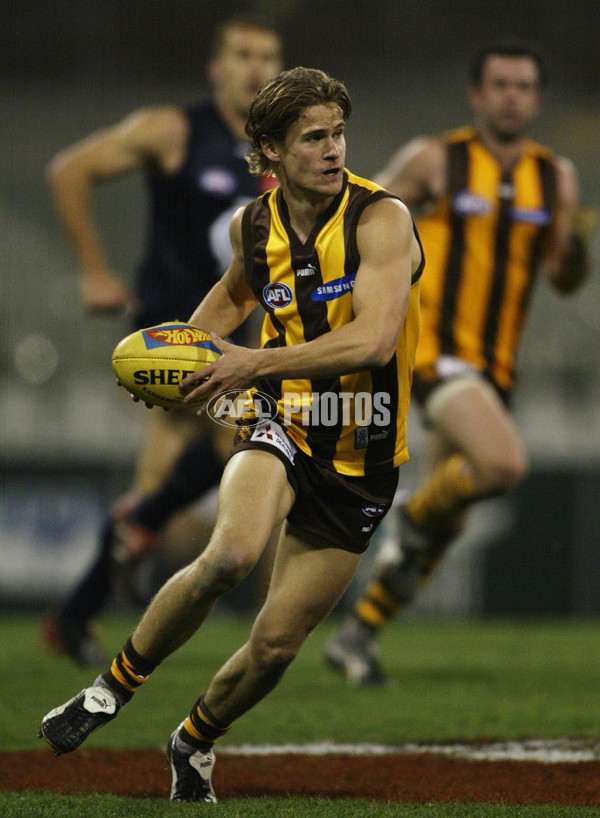 AFL 2003 Rd 21 - Hawthorn v Carlton - 126224