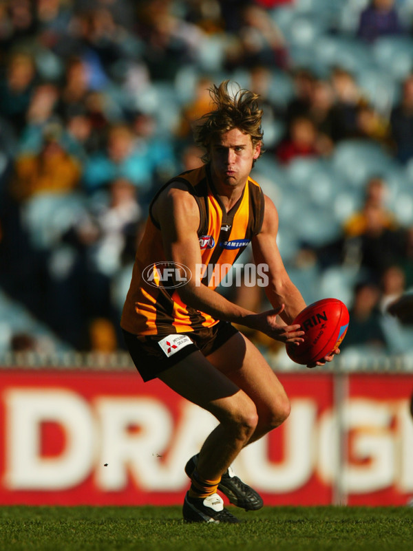 AFL 2003 Rd 18 - Hawthorn v Port Adelaide - 126105