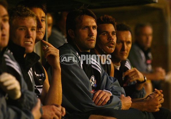 AFL 2002 Rd 14 - Adelaide v Collingwood - 132010