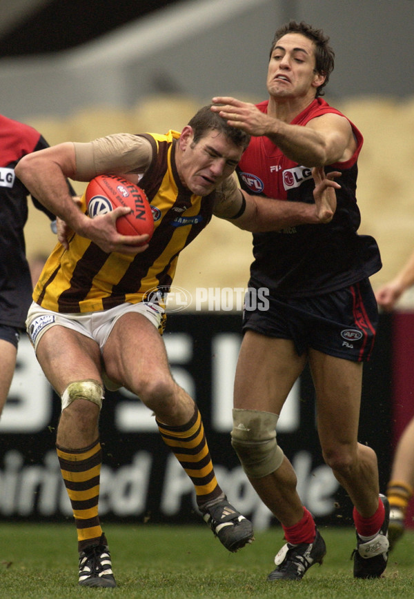 AFL 2002 Rd 16 - Melbourne v Hawthorn - 133356