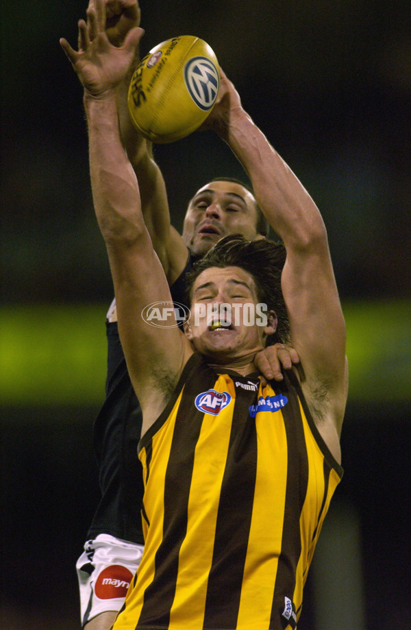 AFL 2002 Rd 8 - Hawthorn v Carlton - 133458
