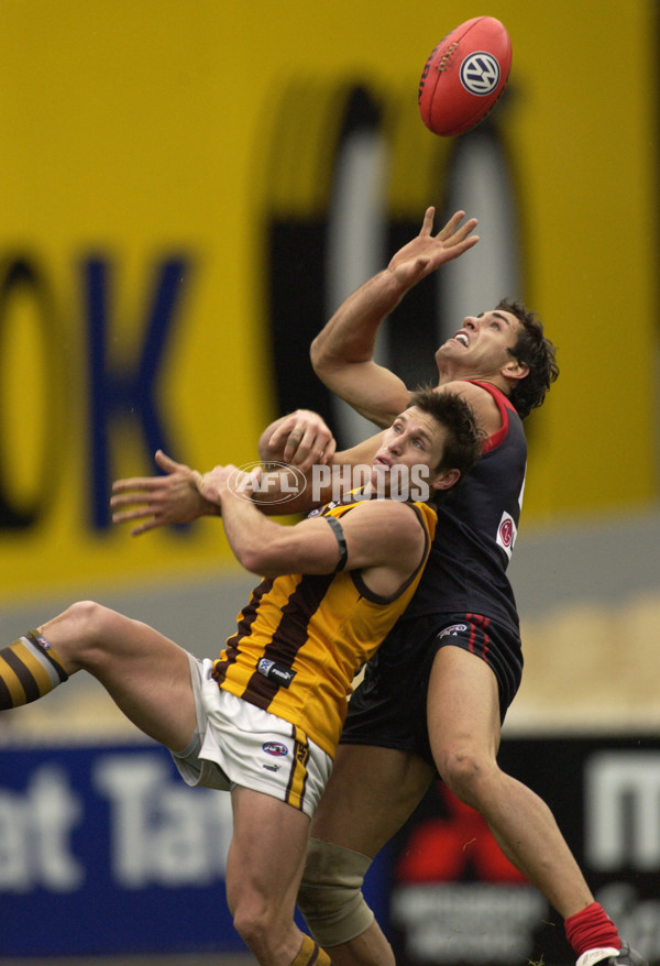 AFL 2002 Rd 16 - Melbourne v Hawthorn - 134162