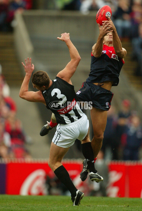 AFL 2002 Rd 11 - Melbourne v Collingwood - 134362