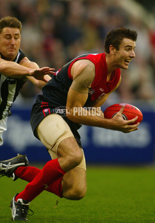 AFL 2002 Rd 11 - Melbourne v Collingwood - 134361