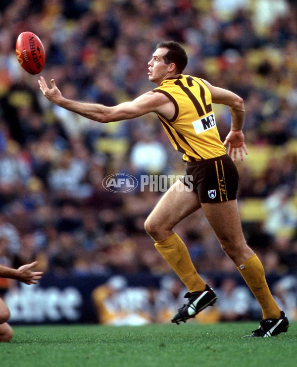 AFL 1997 Match - Hawthorn v Melbourne - A-37480522