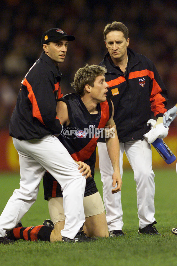 AFL 2001 Rd 12 - Essendon v Adelaide - 145777