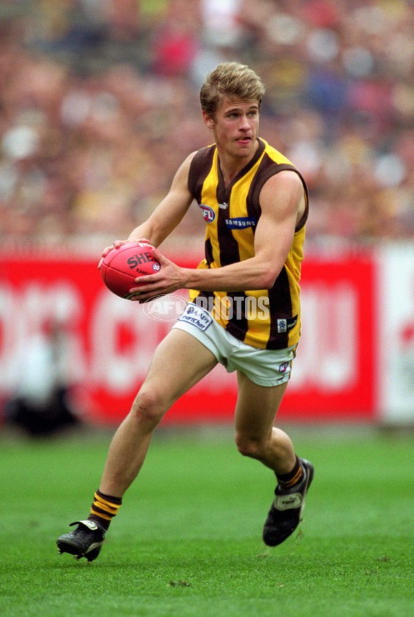 AFL 2001 1st Preliminary Final - Essendon v Hawthorn - 148800