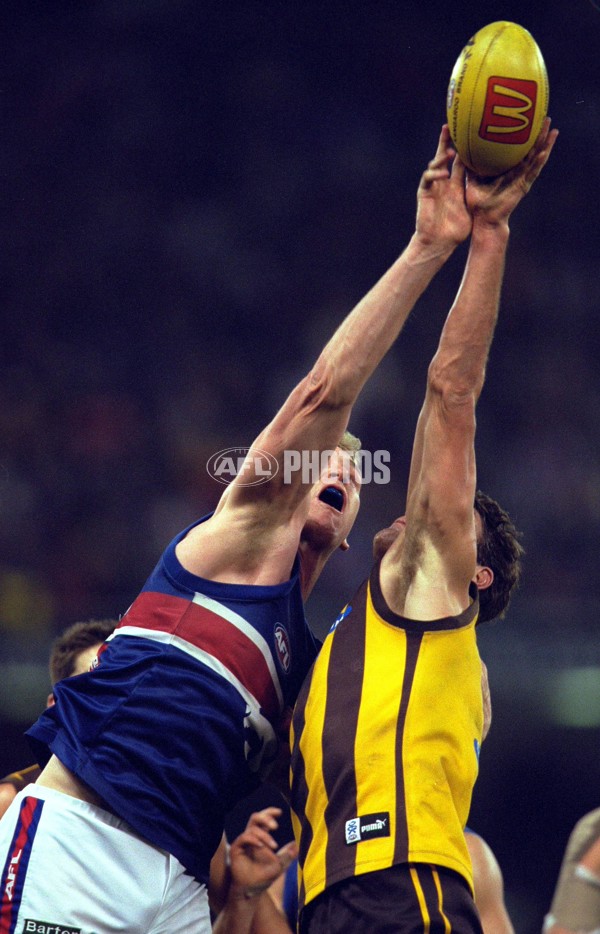 AFL 2000 Rd 22 - Western Bulldogs v Hawthorn - 165982