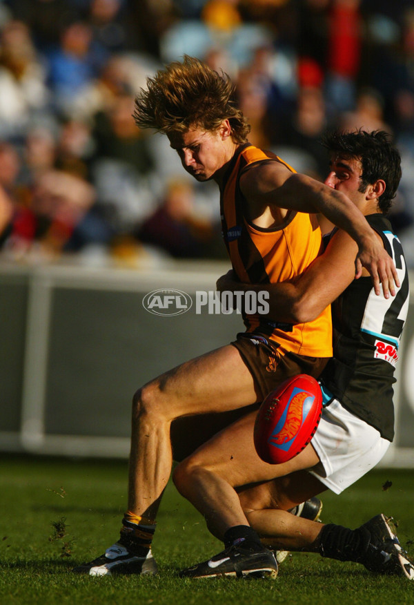 AFL 2003 Rd 18 - Hawthorn v Port Adelaide - 170358