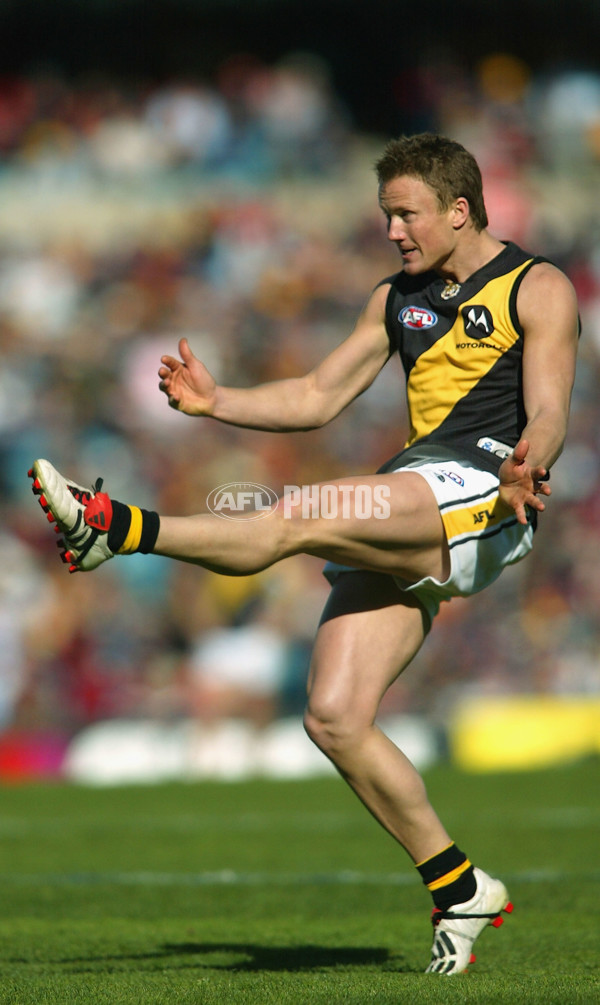 AFL 2004 Rd 20 - Adelaide Crows v Richmond - 173281