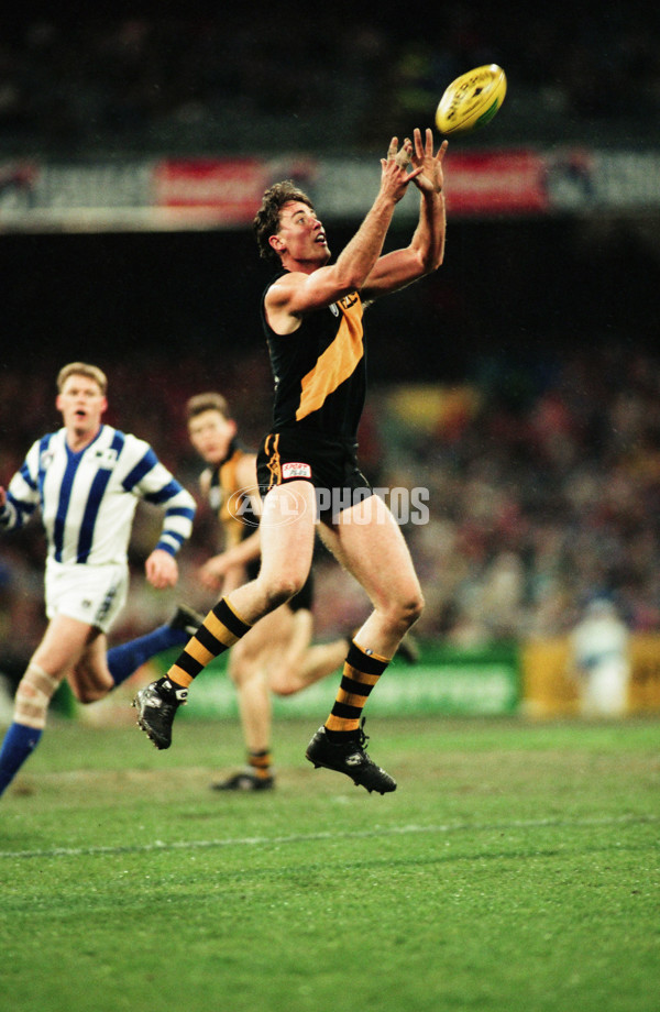 1995 AFL 2nd Qualifying Final - North Melbourne v Richmond - 20679