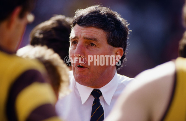 1991 AFL 2nd Semi Final Final - Hawthorn v West Coast - 21409