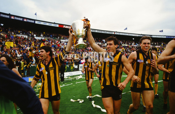 1991 AFL Grand Final - Hawthorn v West Coast - 21422