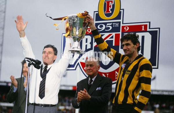 1991 AFL Grand Final - Hawthorn v West Coast - 21430