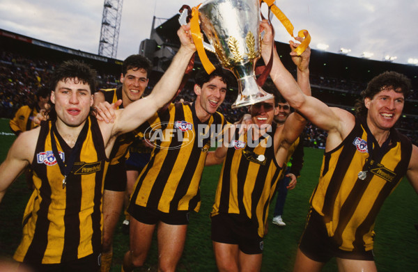 1991 AFL Grand Final - Hawthorn v West Coast - 21425