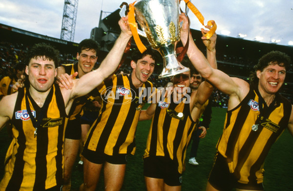 1991 AFL Grand Final - Hawthorn v West Coast - 21431