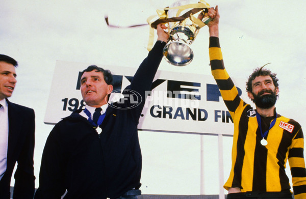 1988 VFL Grand Final - Hawthorn v Melbourne - 21423