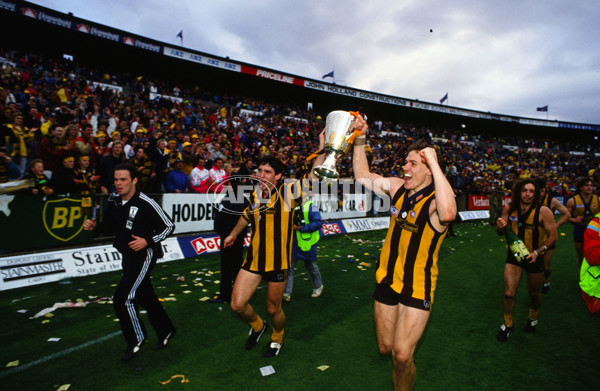 1991 AFL Grand Final - Hawthorn v West Coast - 21416