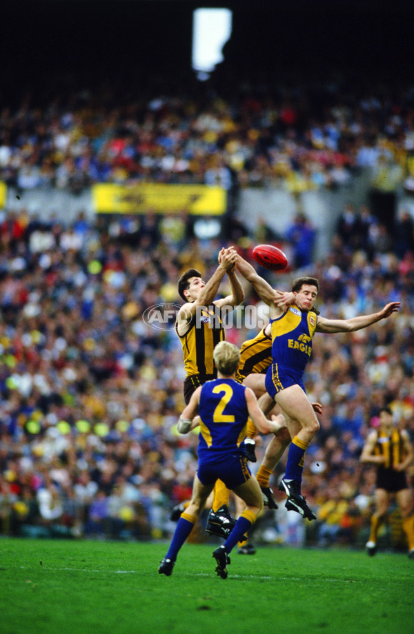 AFL 1991 Grand Final - Hawthorn v West Coast - 22449
