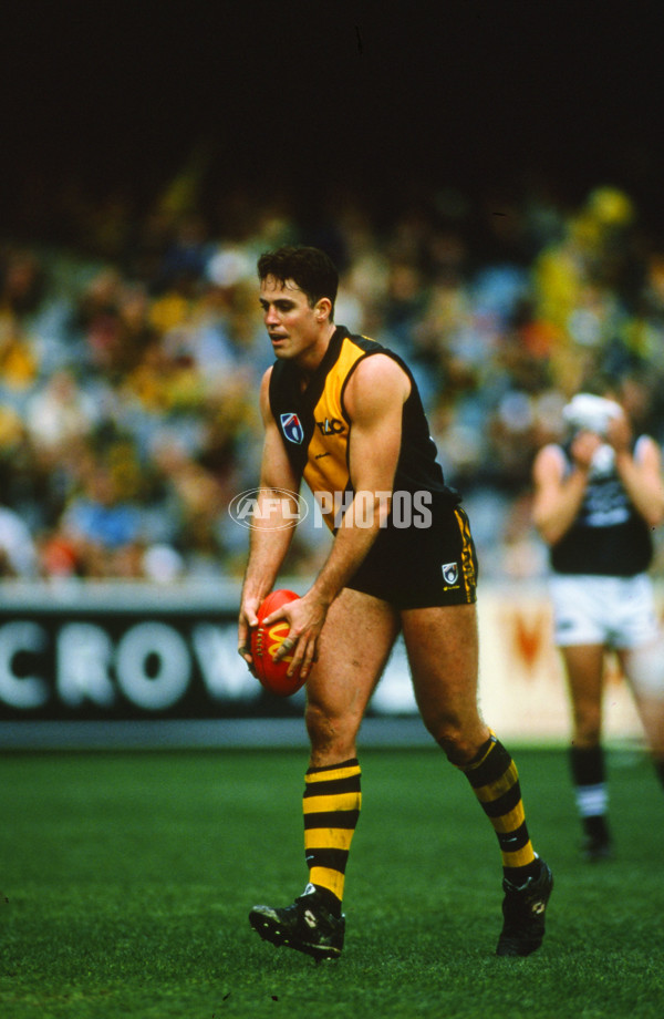 AFL 1998 Round 17 - Richmond v Geelong - 22564