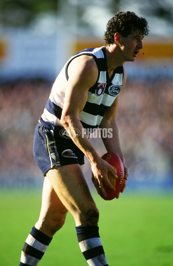 1995 Round 17 - Geelong v Sydney - 22761