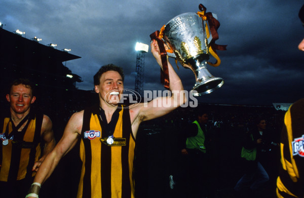 AFL 1991 Grand Final - Hawthorn v West Coast - 23101