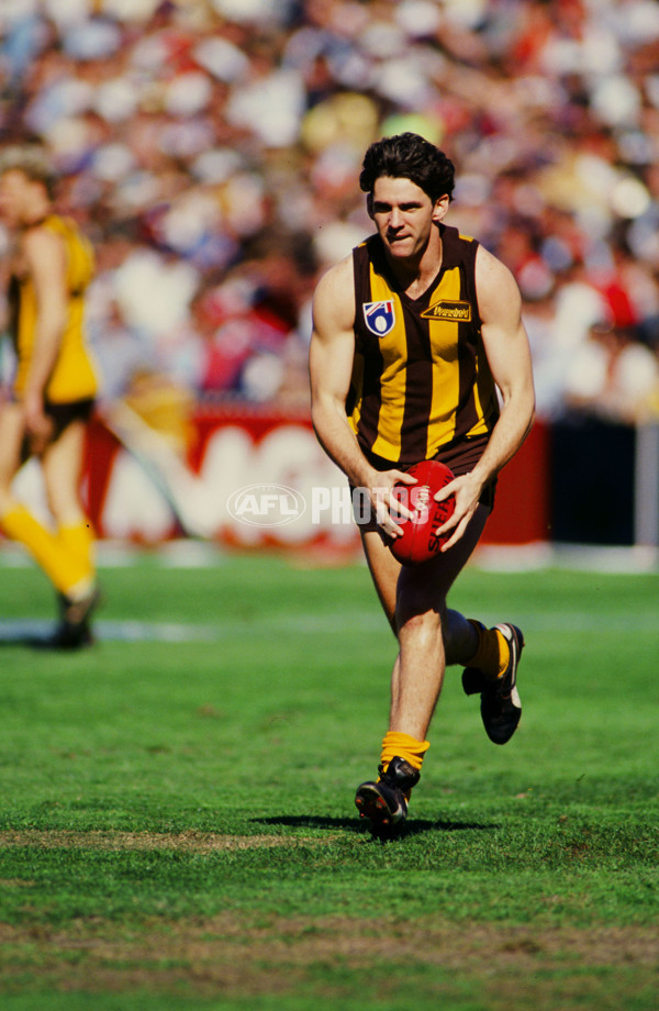 AFL 1991 - Hawthorn Hawks - 23135