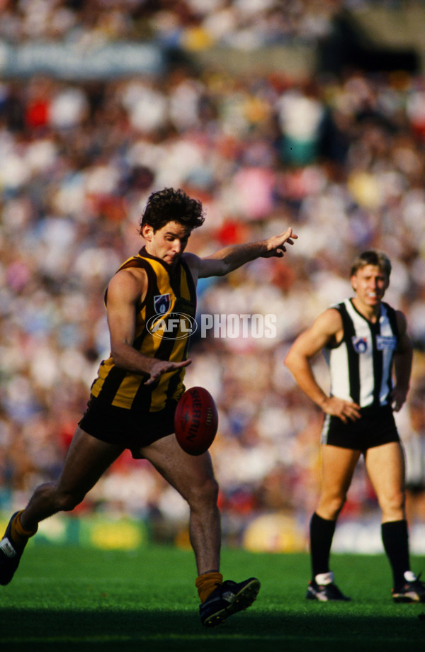 AFL 1992 Round 6 - Collingwood v Hawthorn - 23134