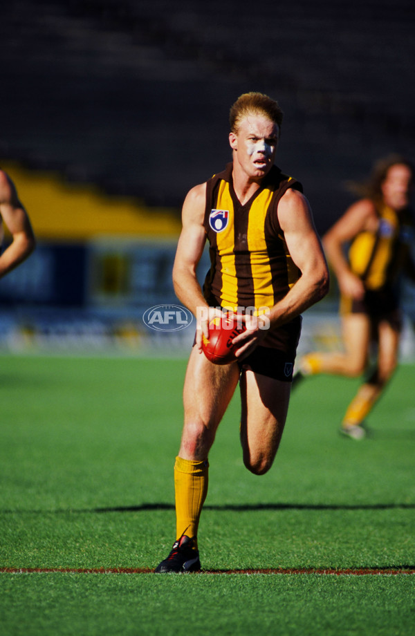 AFL 1995 - Hawthorn v Geelong - 23152