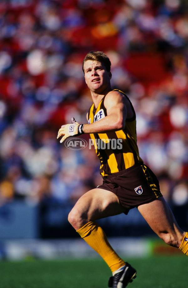 AFL 1995 Round 21 - Hawthorn v North Melbourne - 23153