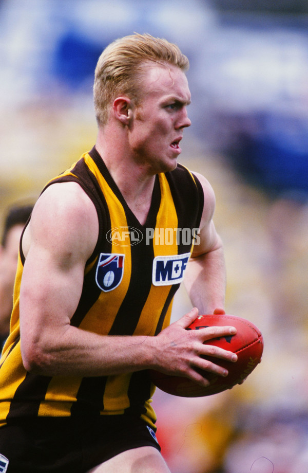 AFL 1995 Round 22 - Geelong v Hawthorn - A-37891339